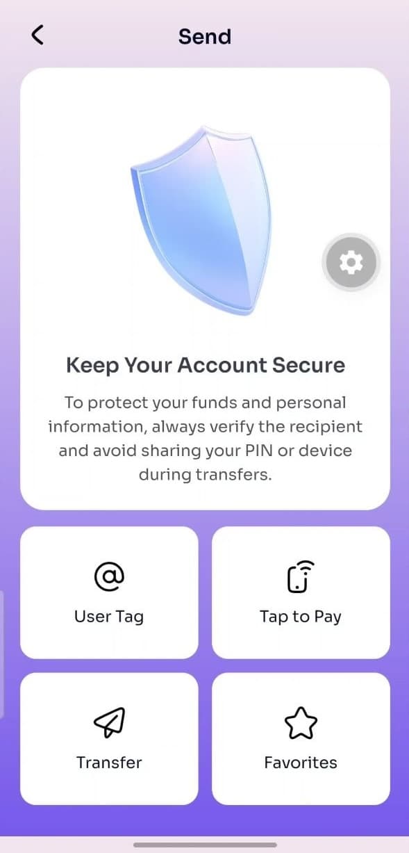 project screenshot